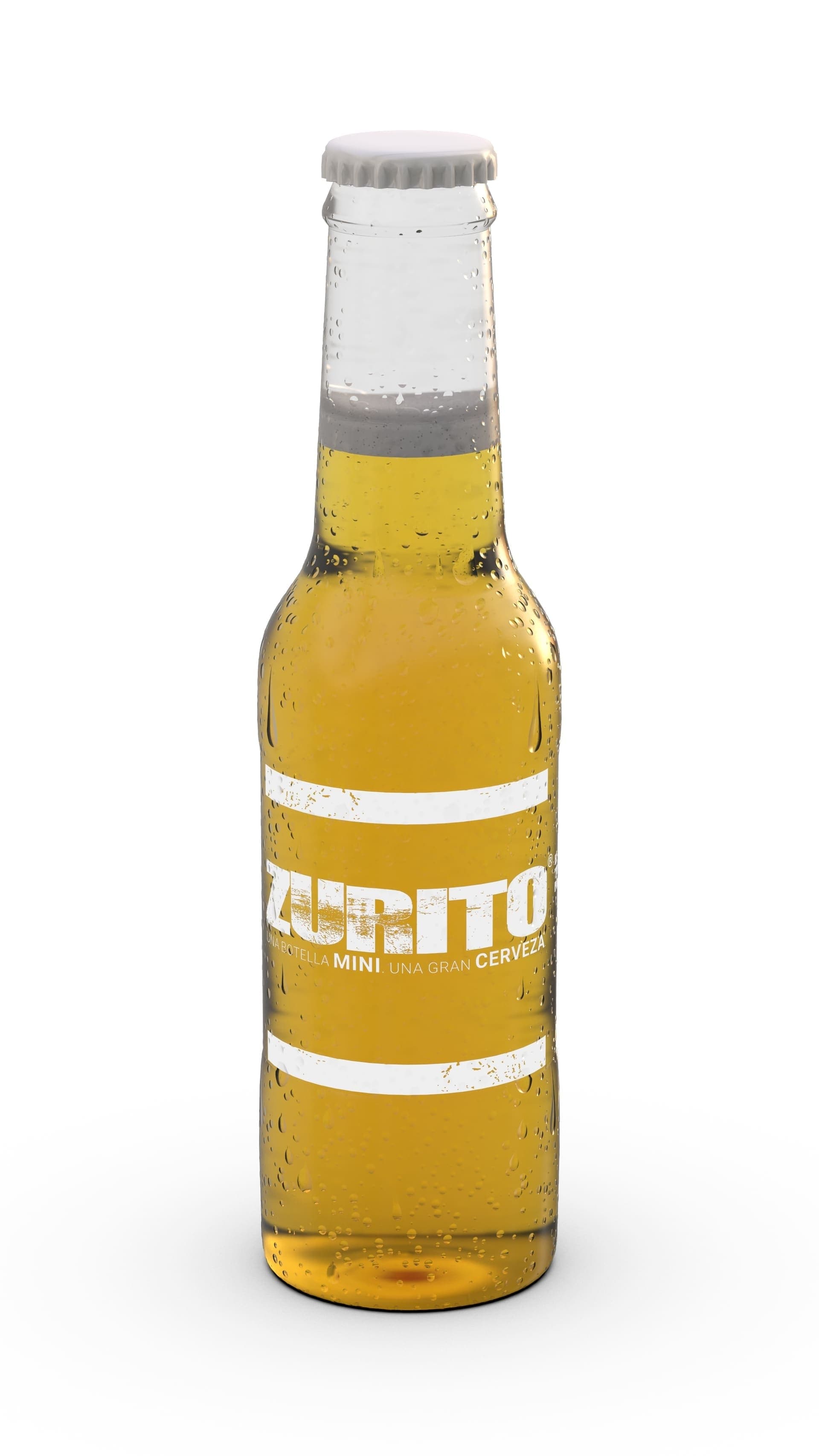 Proyecto: Botella Zurito